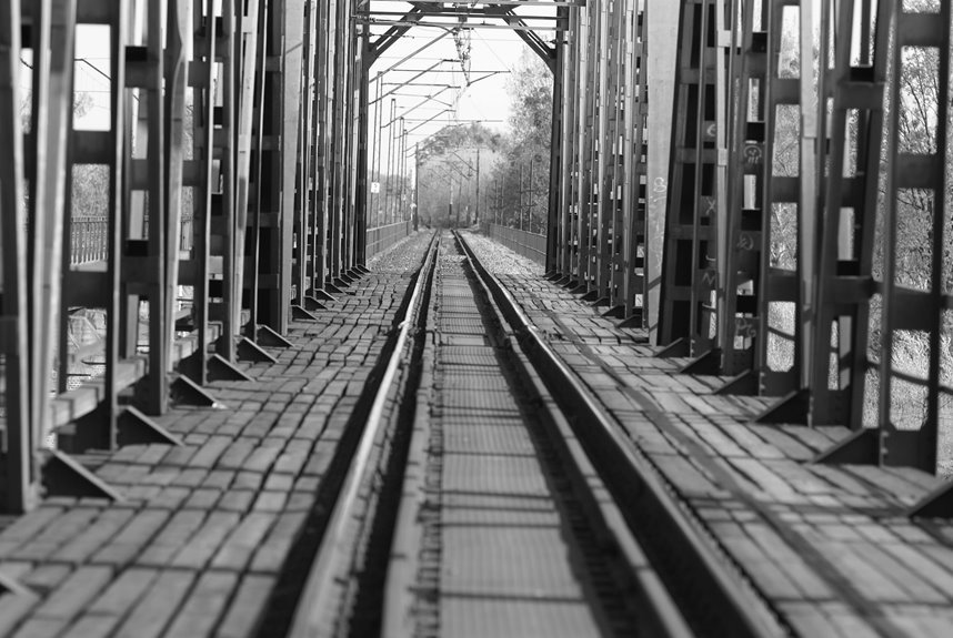 omega track market beam